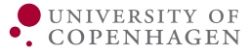 Logo: University of Copenhagen, UCPH IT